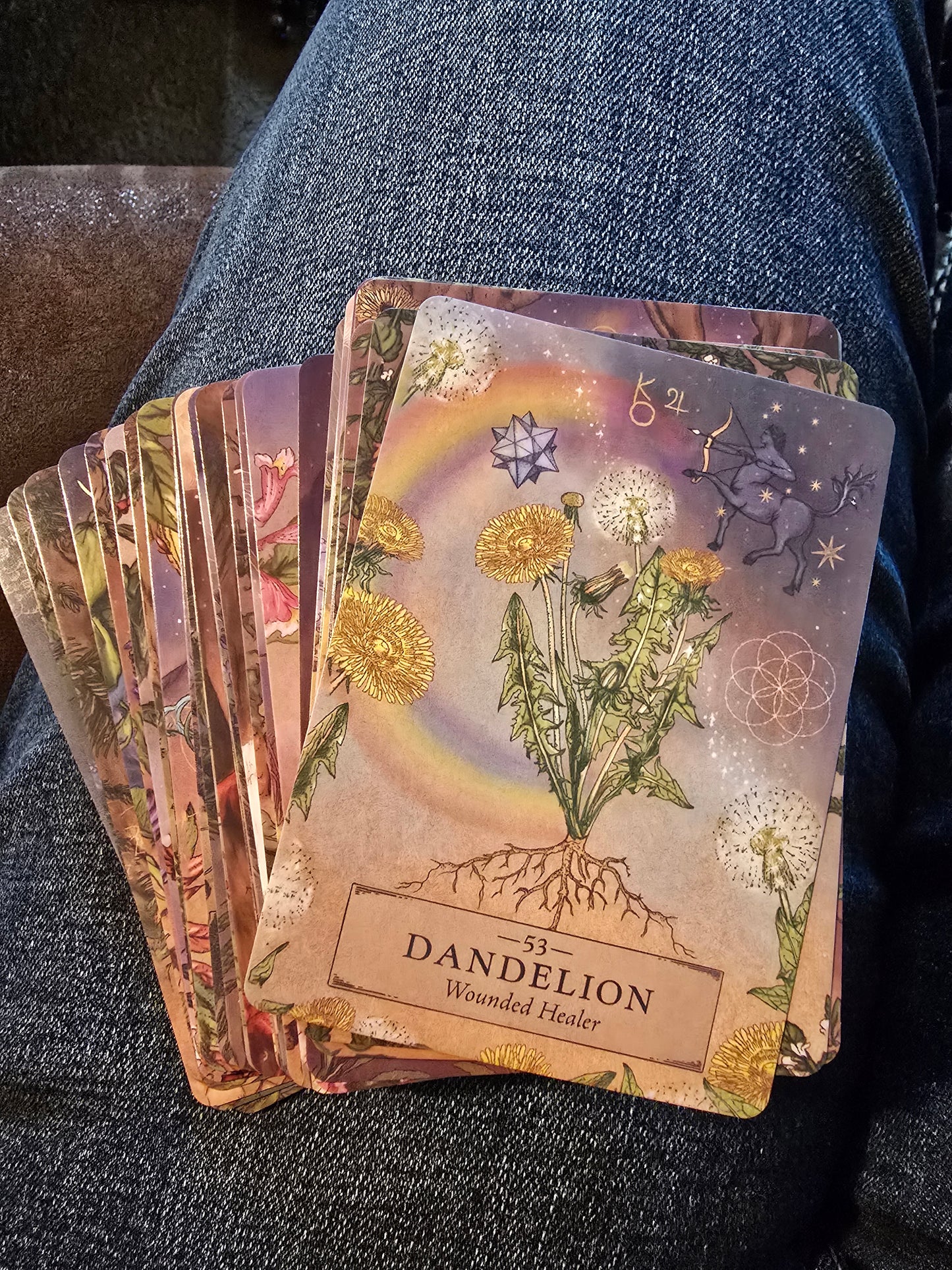 Herbal Astrology Oracle Deck