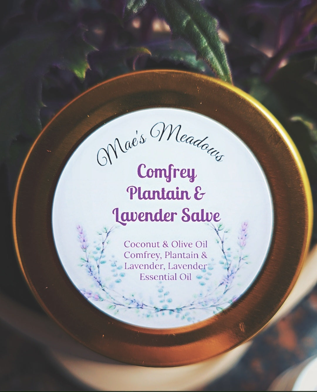 Comfrey Plantain And Lavender Salve