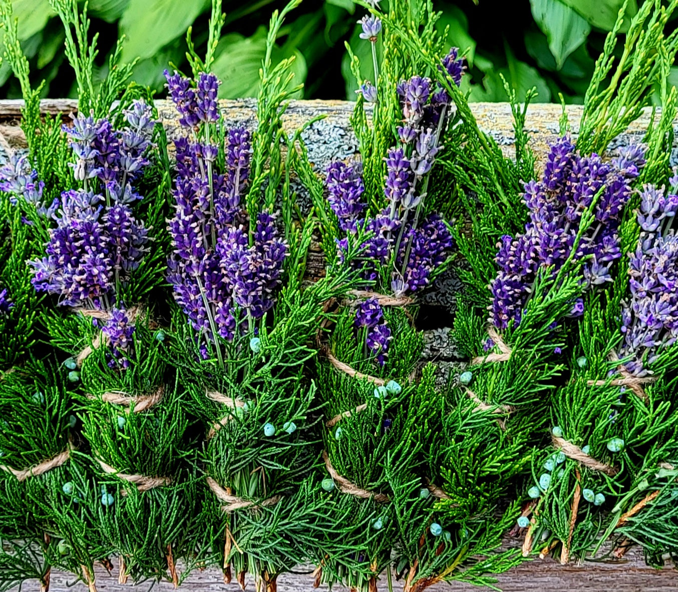 Juniper and Lavender Bundles