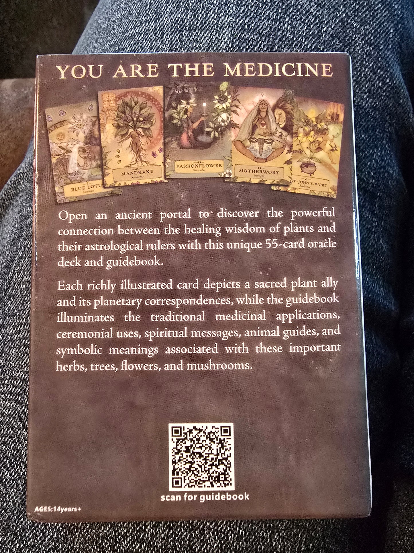 Herbal Astrology Oracle Deck